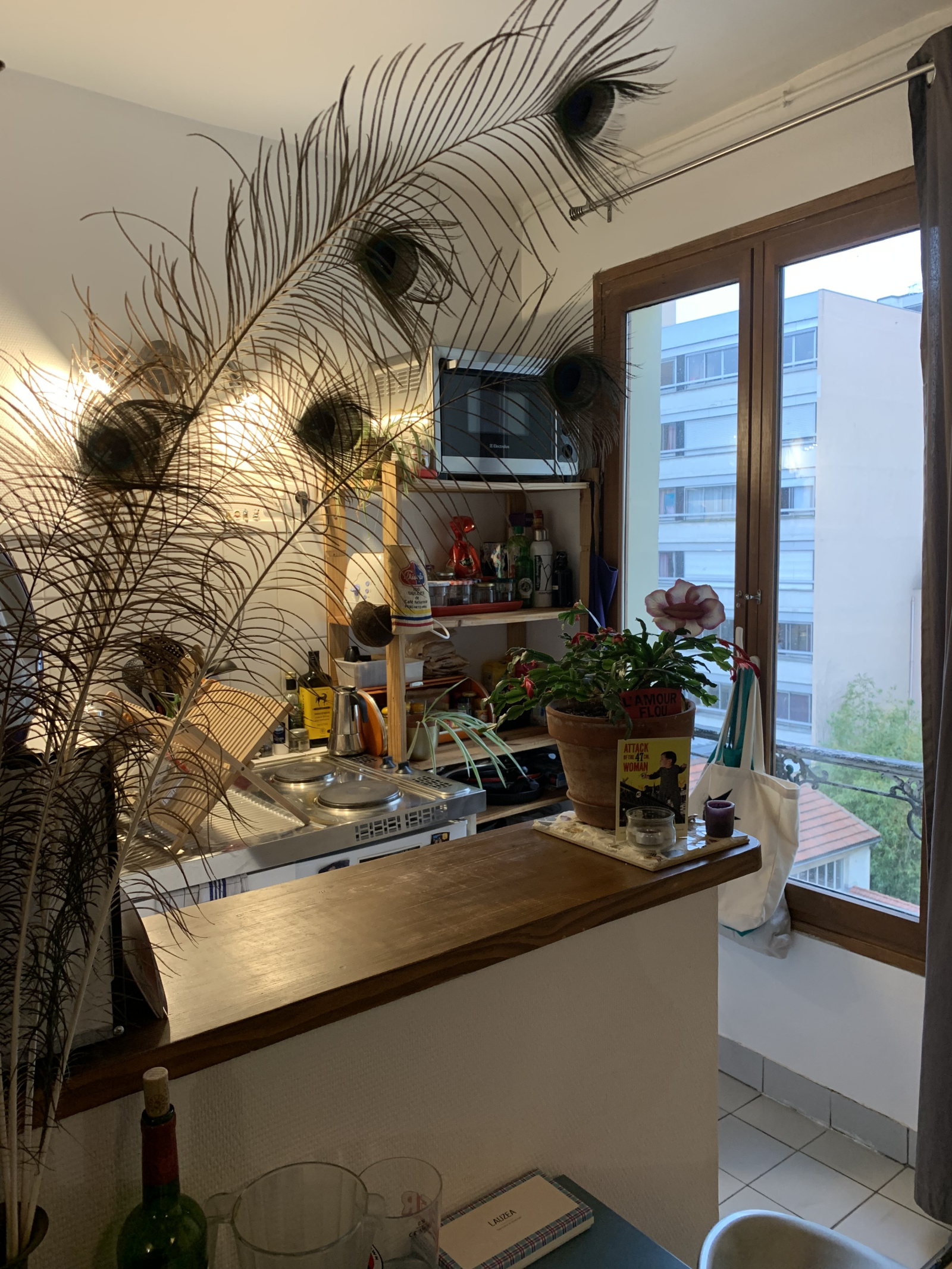 Image_1, Appartement, Paris, ref :33V