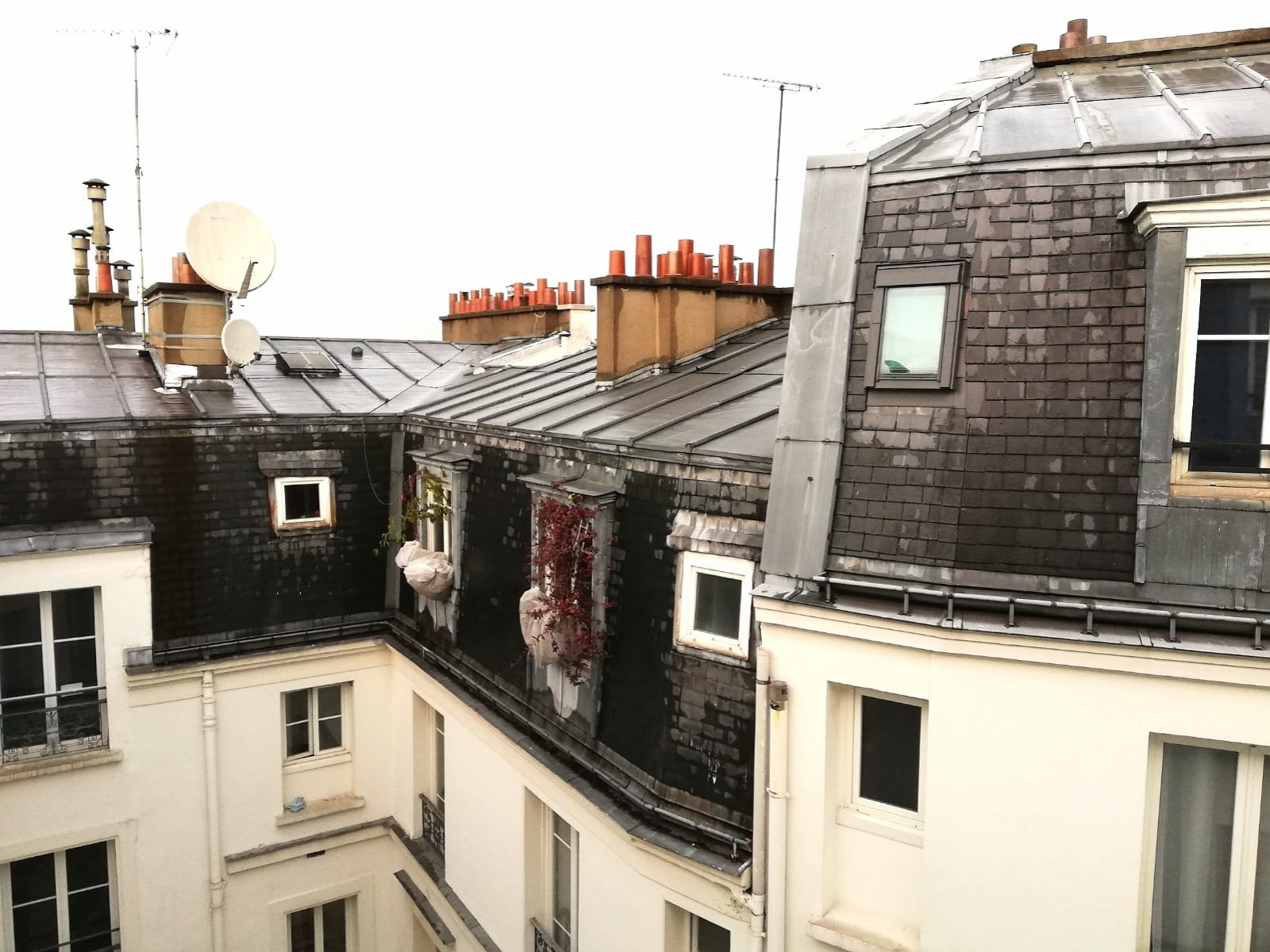 Image_5, Viager, Paris, ref :25ES